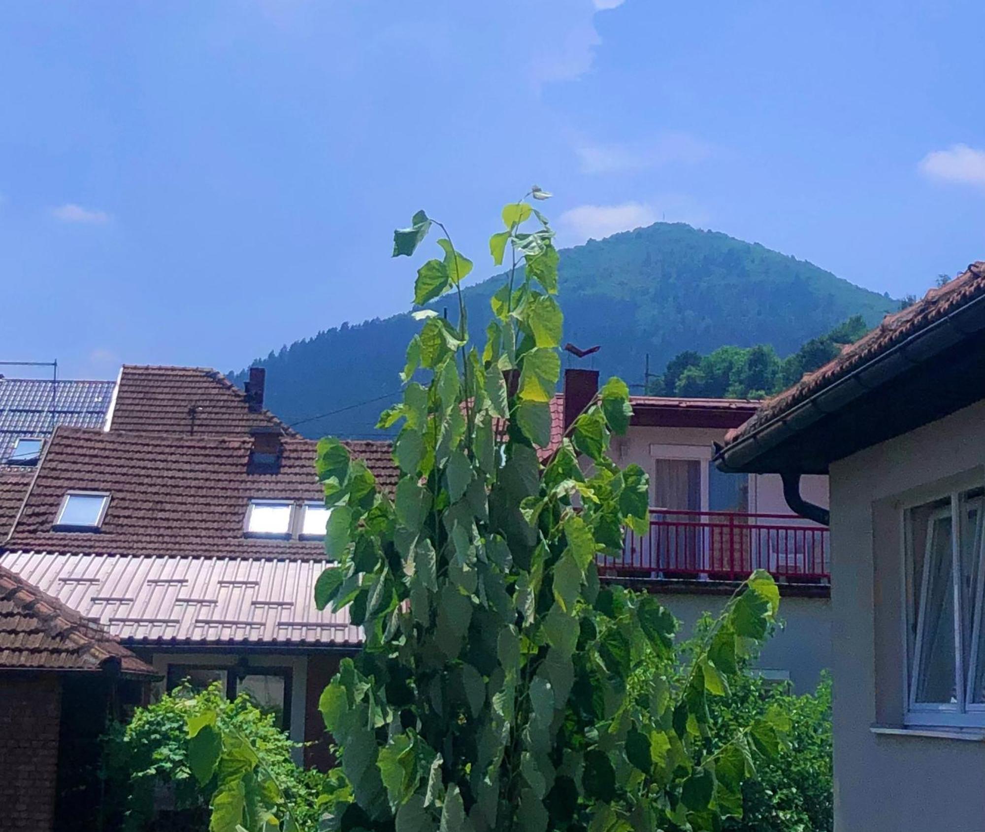 Apartman Balkan Visoko Exterior foto